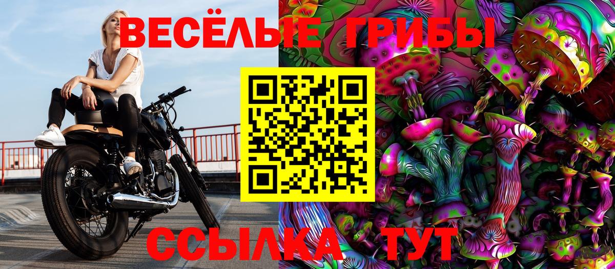 Псилоцибиновые грибы Cubensis  Вход с VPN  Псилоцибиновые грибы мухоморы  Новокубанск 